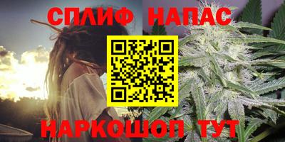 мдпв Партизанск