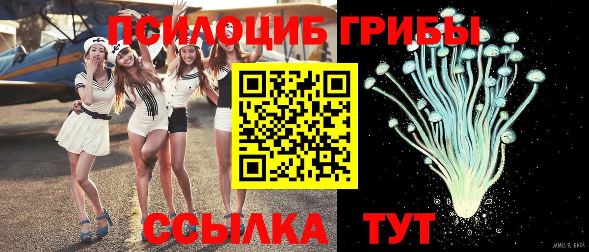 Галлюциногенные грибы Cubensis  Галлюциногенные грибы GOLDEN TEACHER  Вход с VPN  Удомля 