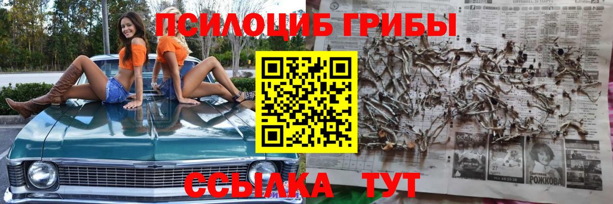 Галлюциногенные грибы прущие грибы Удомля